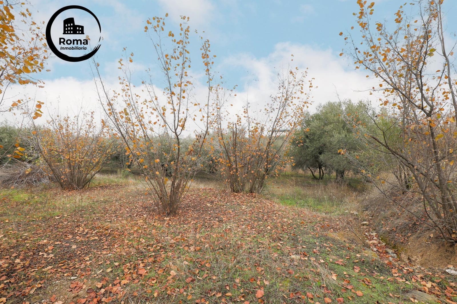 Finca/Landhuis te koop in Gojar met garage - € 208.000 (Ref: 9450307)