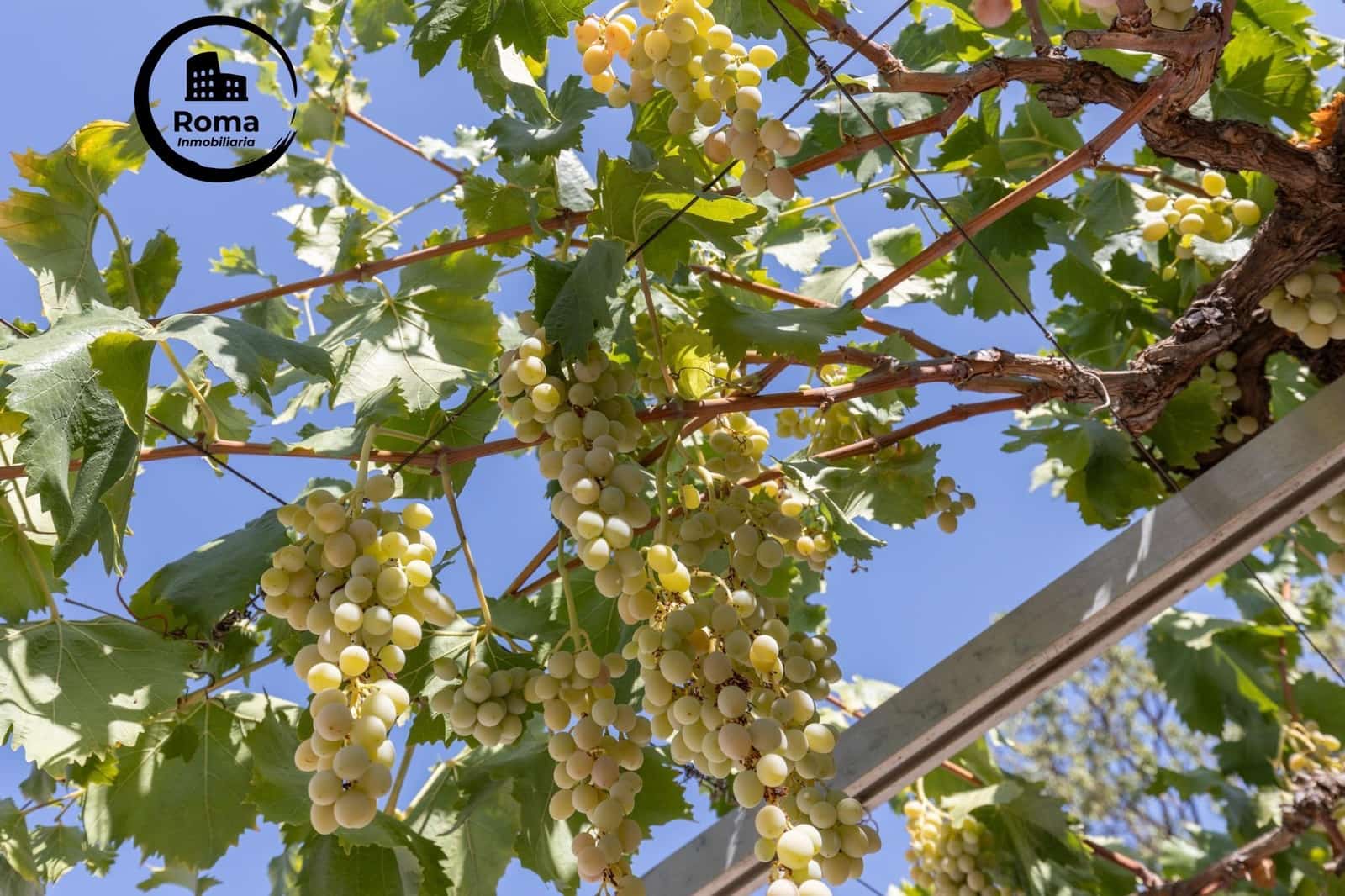 5 Zimmer Villa zu verkaufen in Gojar mit Pool Garage - 467.000 € (Ref: 9456428)