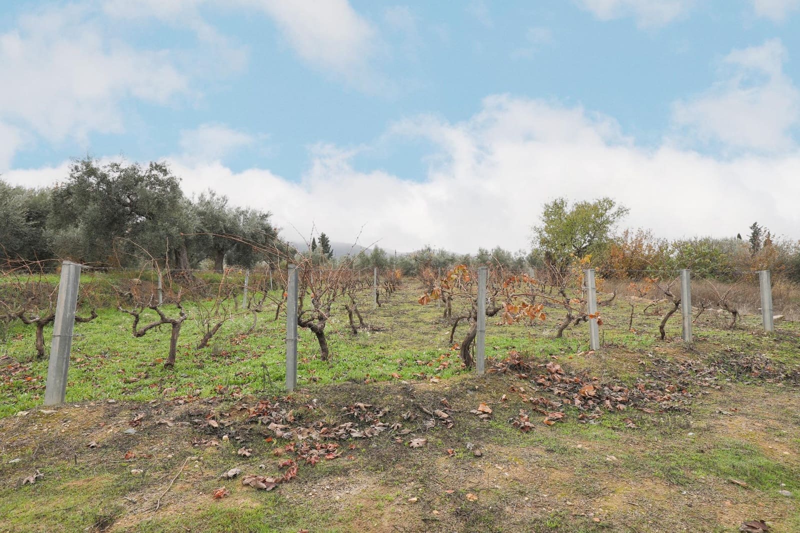 Finca/Country House for sale in Gojar with garage - € 208,000 (Ref: 9466044)