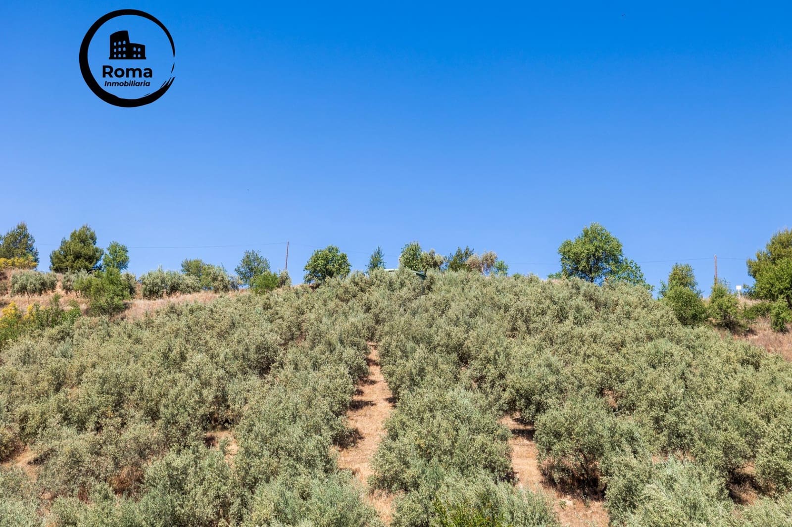 Landgrundstück zu verkaufen in Viznar - 46.500 € (Ref: 9491540)