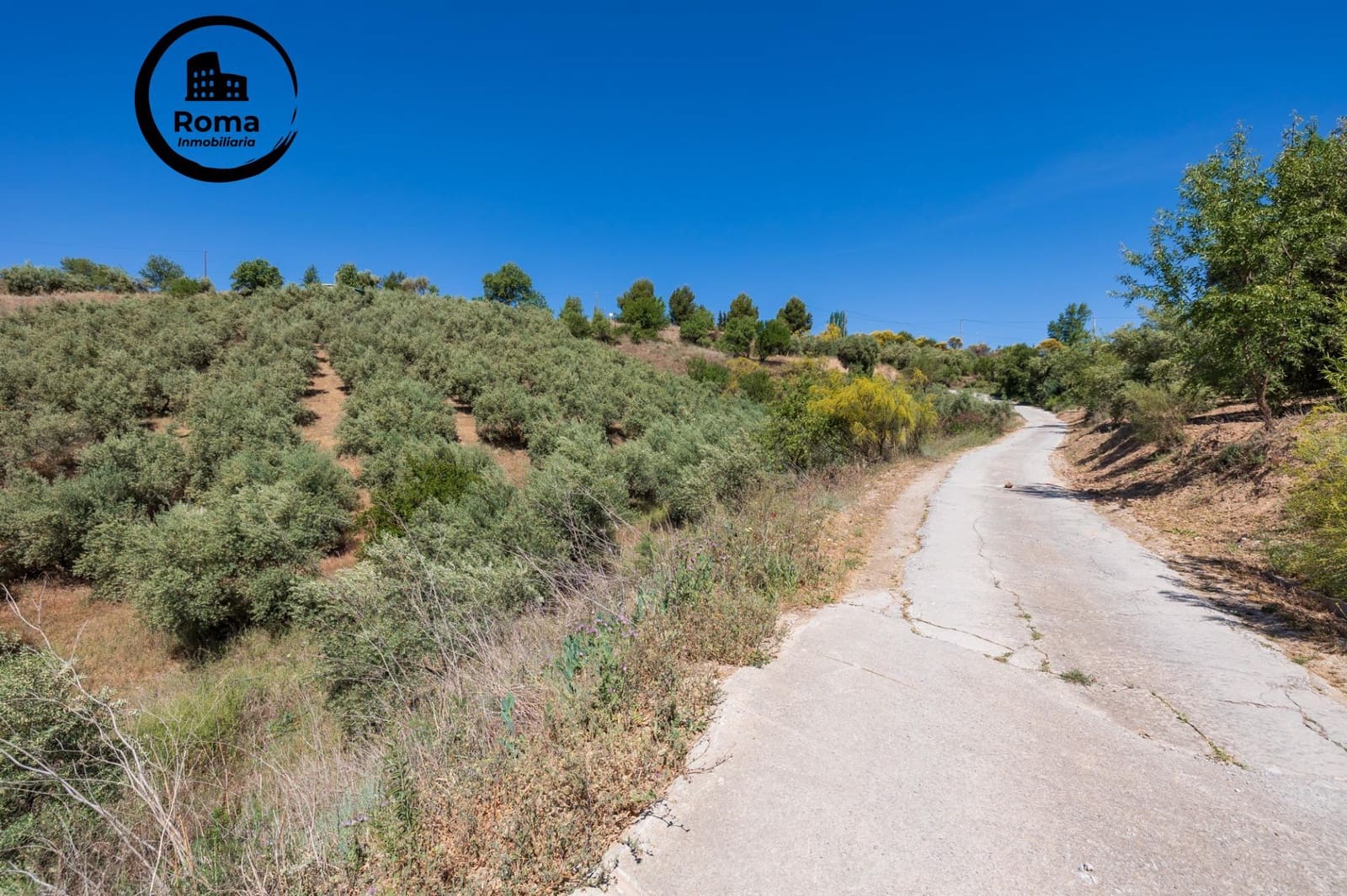 Landgrundstück zu verkaufen in Viznar - 46.500 € (Ref: 9491540)