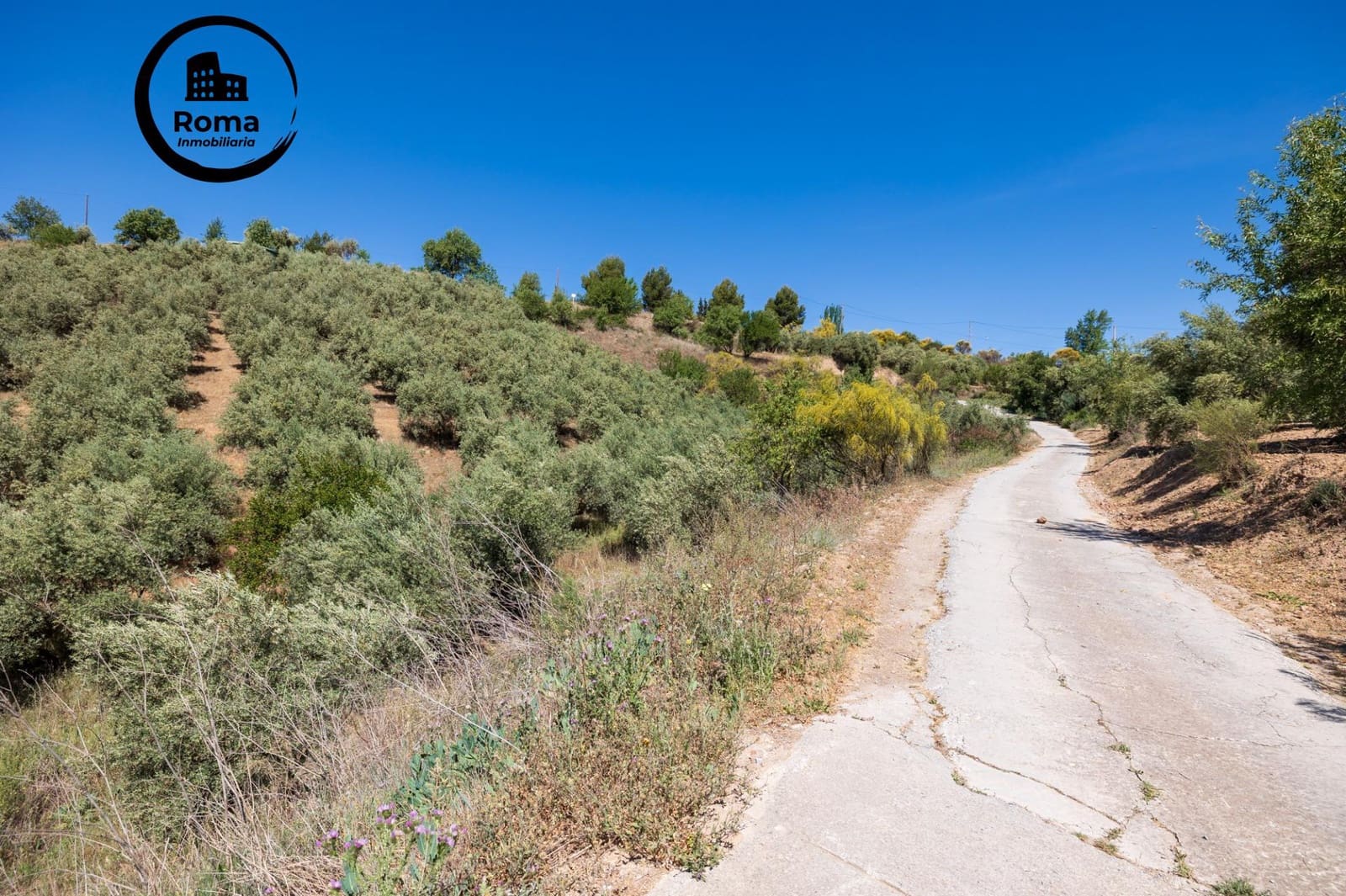 Landgrundstück zu verkaufen in Viznar - 46.500 € (Ref: 9491540)