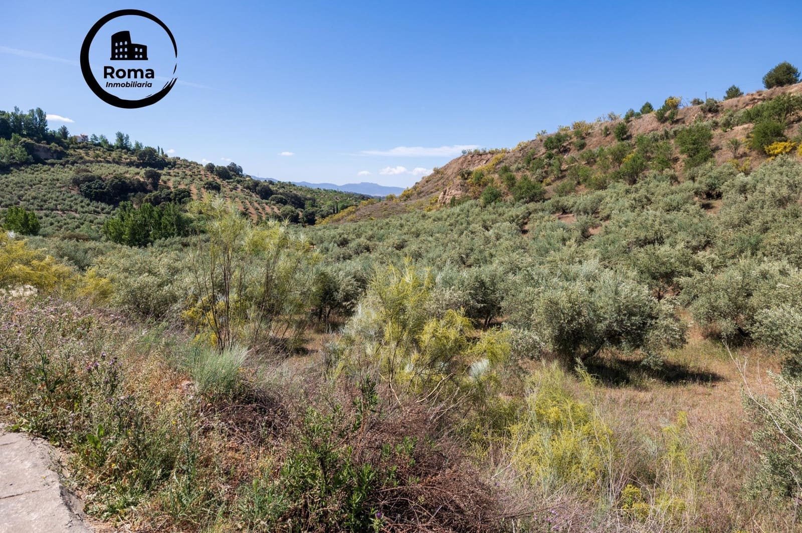 Landgrundstück zu verkaufen in Viznar - 46.500 € (Ref: 9491540)