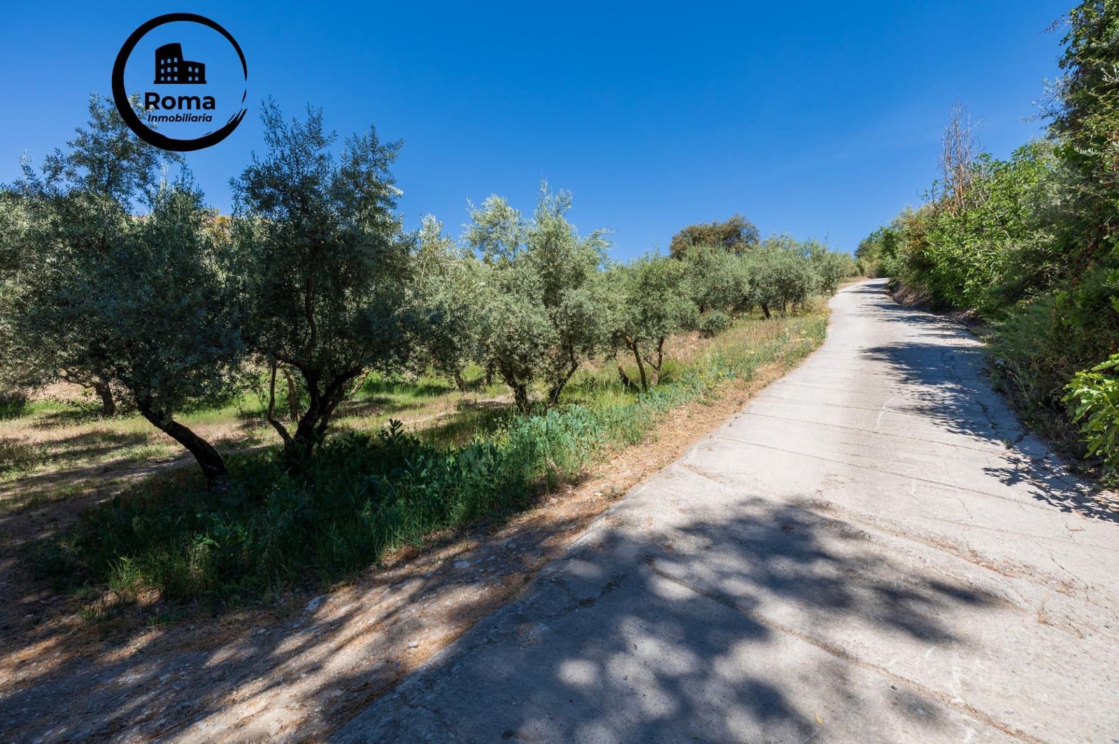 Landgrundstück zu verkaufen in Viznar - 46.500 € (Ref: 9491540)