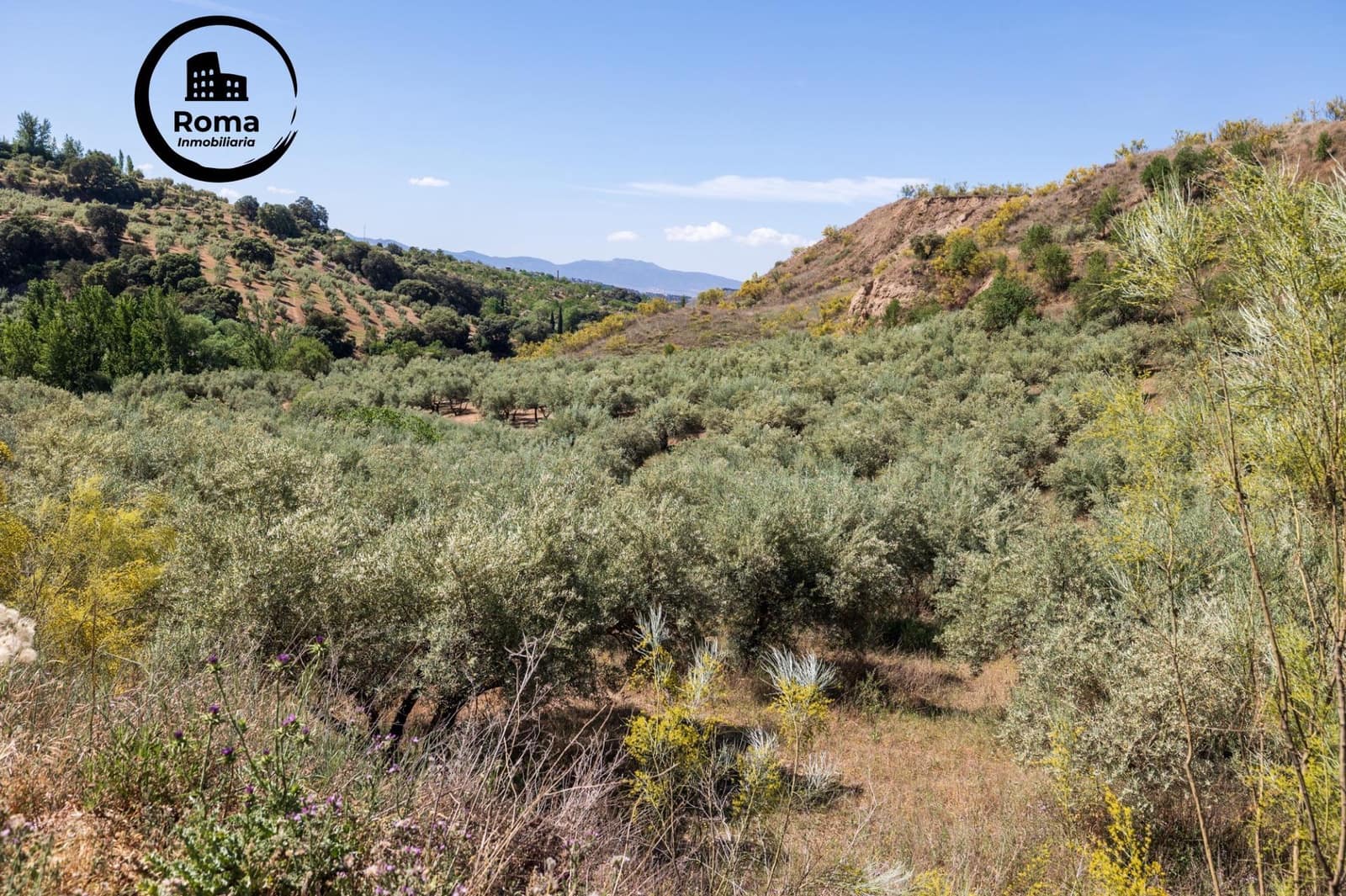 Landgrundstück zu verkaufen in Viznar - 46.500 € (Ref: 9491540)