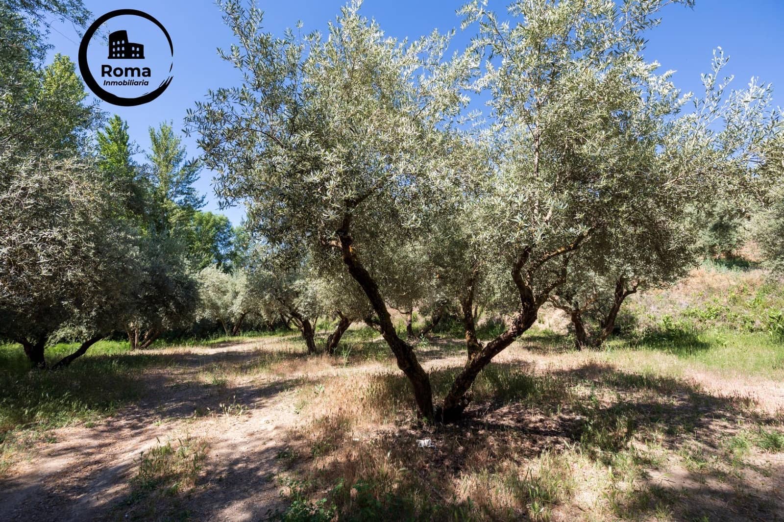 Landgrundstück zu verkaufen in Viznar - 46.500 € (Ref: 9491540)