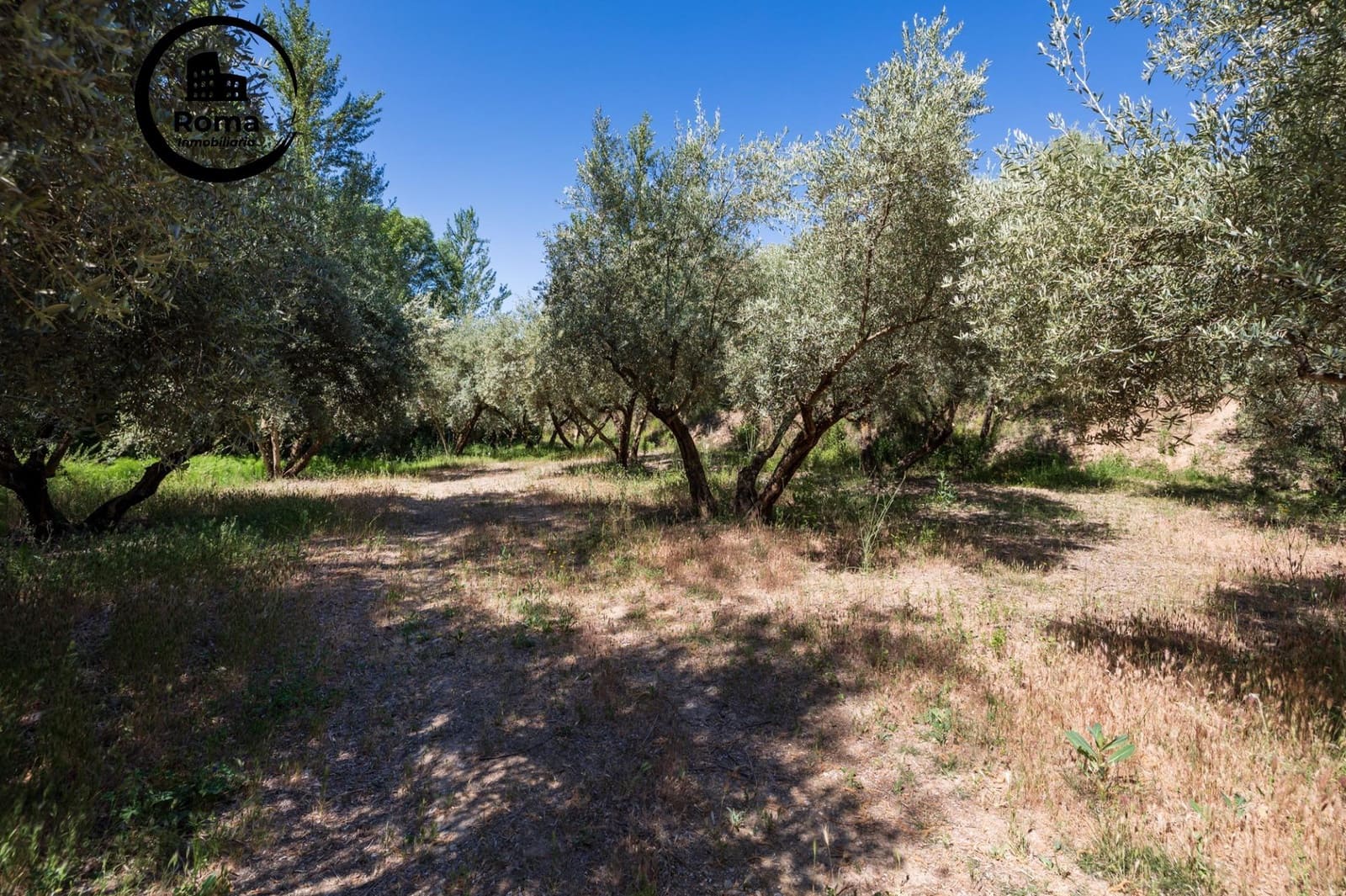 Landgrundstück zu verkaufen in Viznar - 46.500 € (Ref: 9491540)