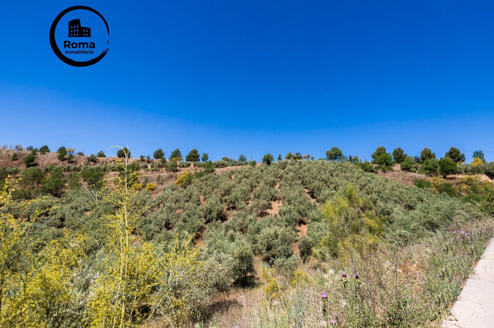 Landgrundstück zu verkaufen in Viznar - 46.500 € (Ref: 9491540)