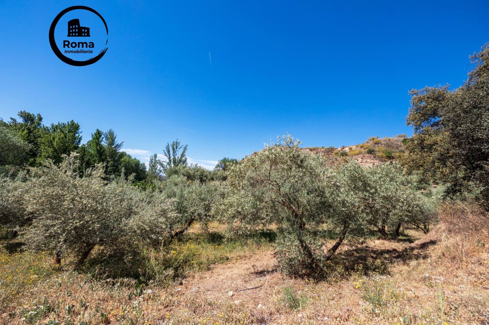 Landgrundstück zu verkaufen in Viznar - 46.500 € (Ref: 9491540)