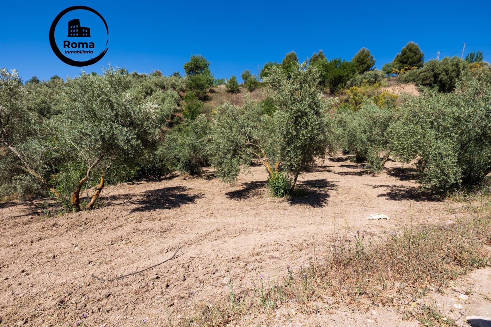 Landgrundstück zu verkaufen in Viznar - 46.500 € (Ref: 9491540)