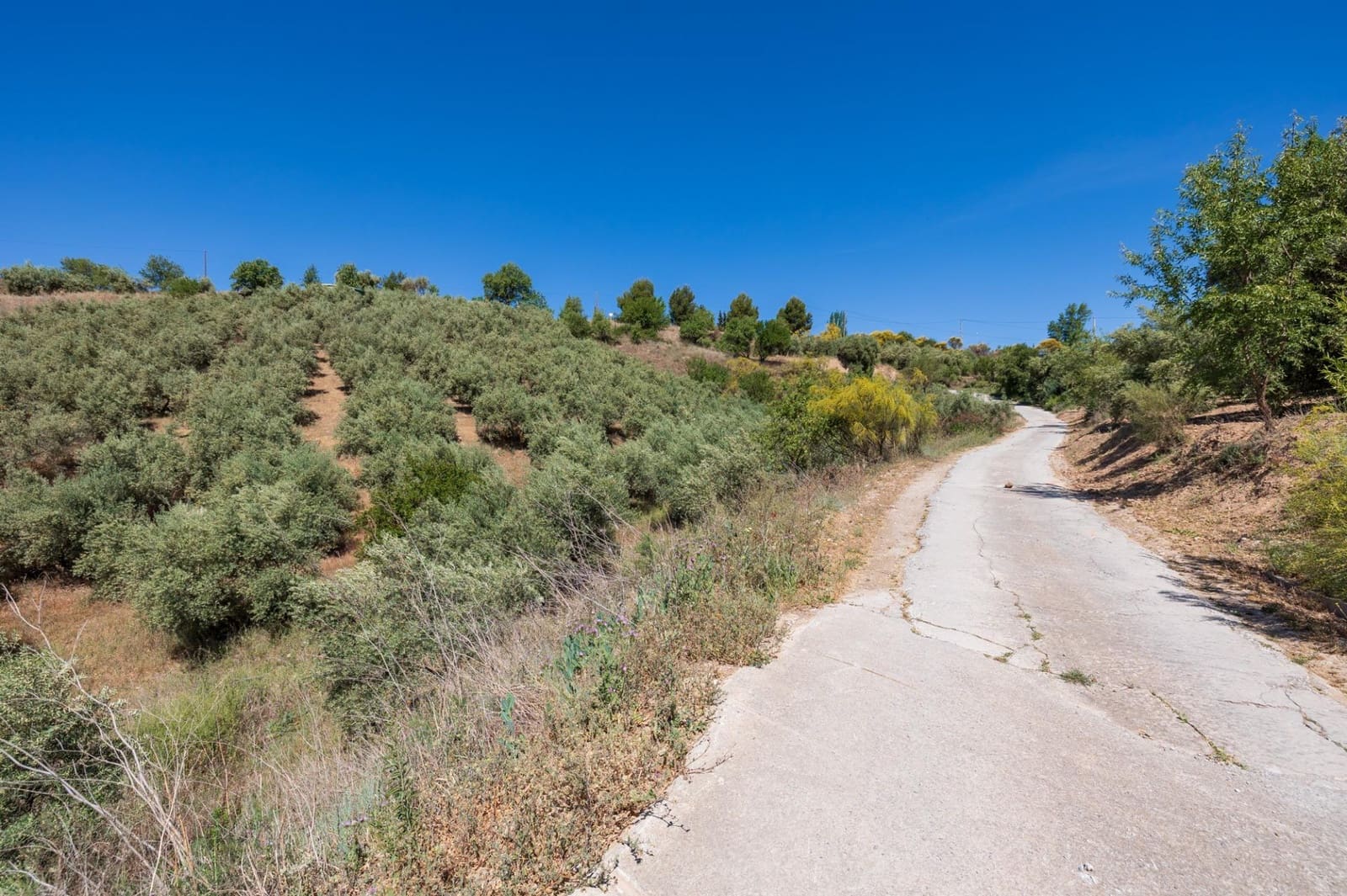 Landgrundstück zu verkaufen in Viznar - 46.500 € (Ref: 9491556)