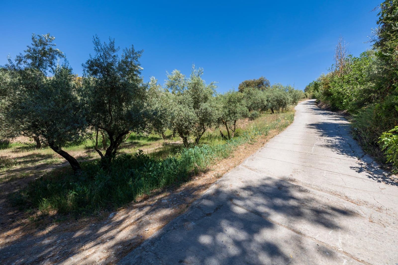 Landgrundstück zu verkaufen in Viznar - 46.500 € (Ref: 9491556)