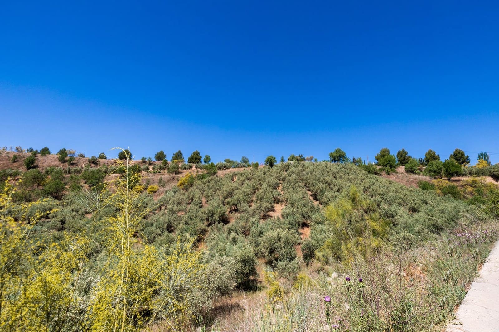 Landgrundstück zu verkaufen in Viznar - 46.500 € (Ref: 9491556)