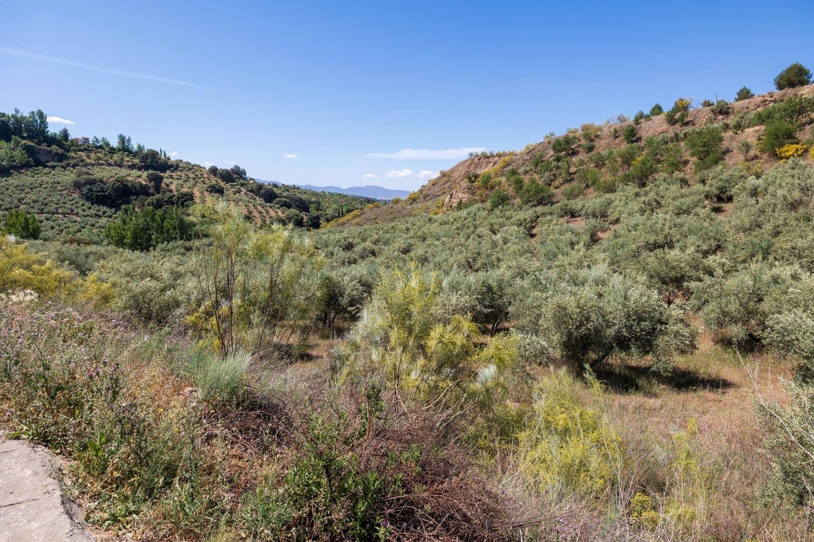 Landgrundstück zu verkaufen in Viznar - 46.500 € (Ref: 9491556)