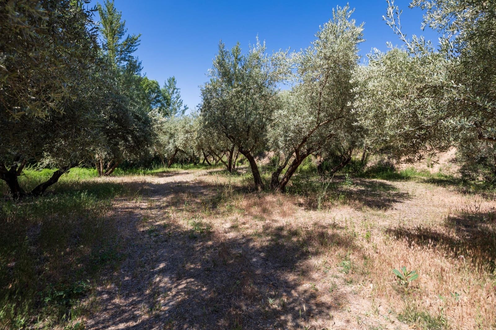 Landgrundstück zu verkaufen in Viznar - 46.500 € (Ref: 9491556)