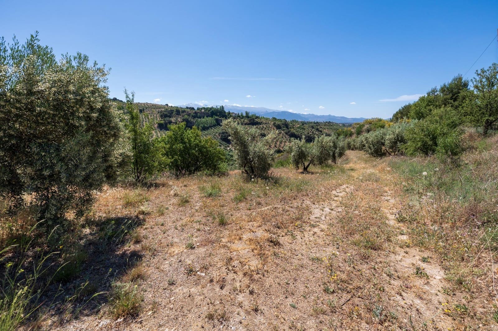 Landgrundstück zu verkaufen in Viznar - 46.500 € (Ref: 9491556)