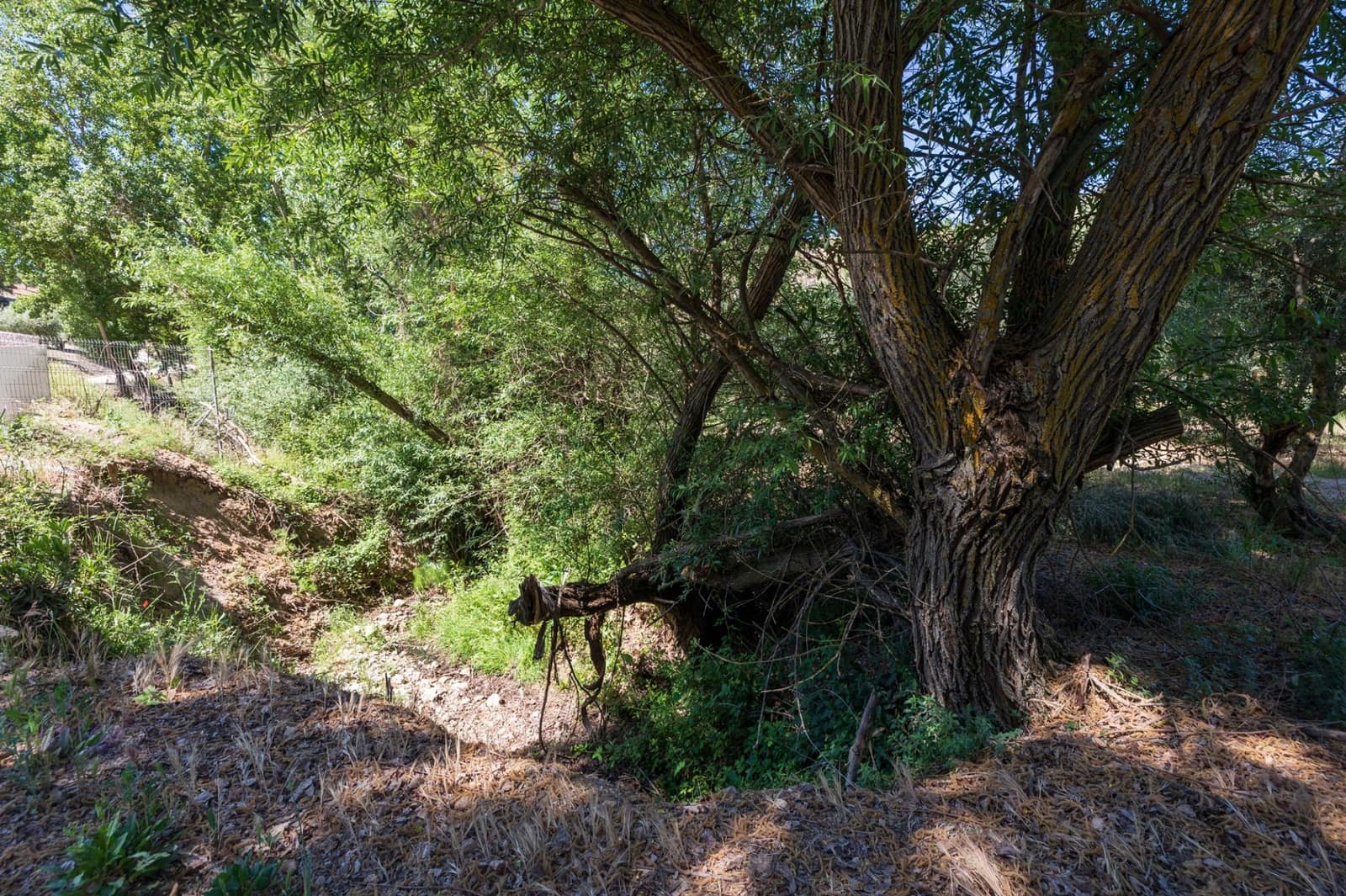 Landgrundstück zu verkaufen in Viznar - 46.500 € (Ref: 9491556)