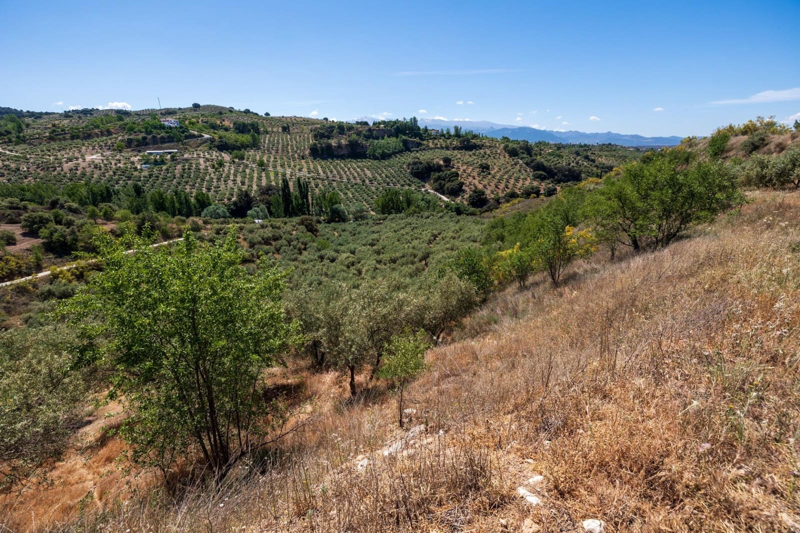 Landgrundstück zu verkaufen in Viznar - 46.500 € (Ref: 9491556)