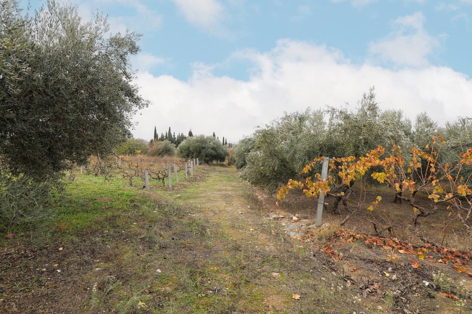 Finca/Country House for sale in Gojar with garage - € 208,000 (Ref: 9491559)