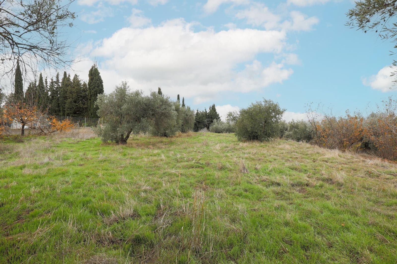 Finca/Country House for sale in Gojar with garage - € 208,000 (Ref: 9491559)