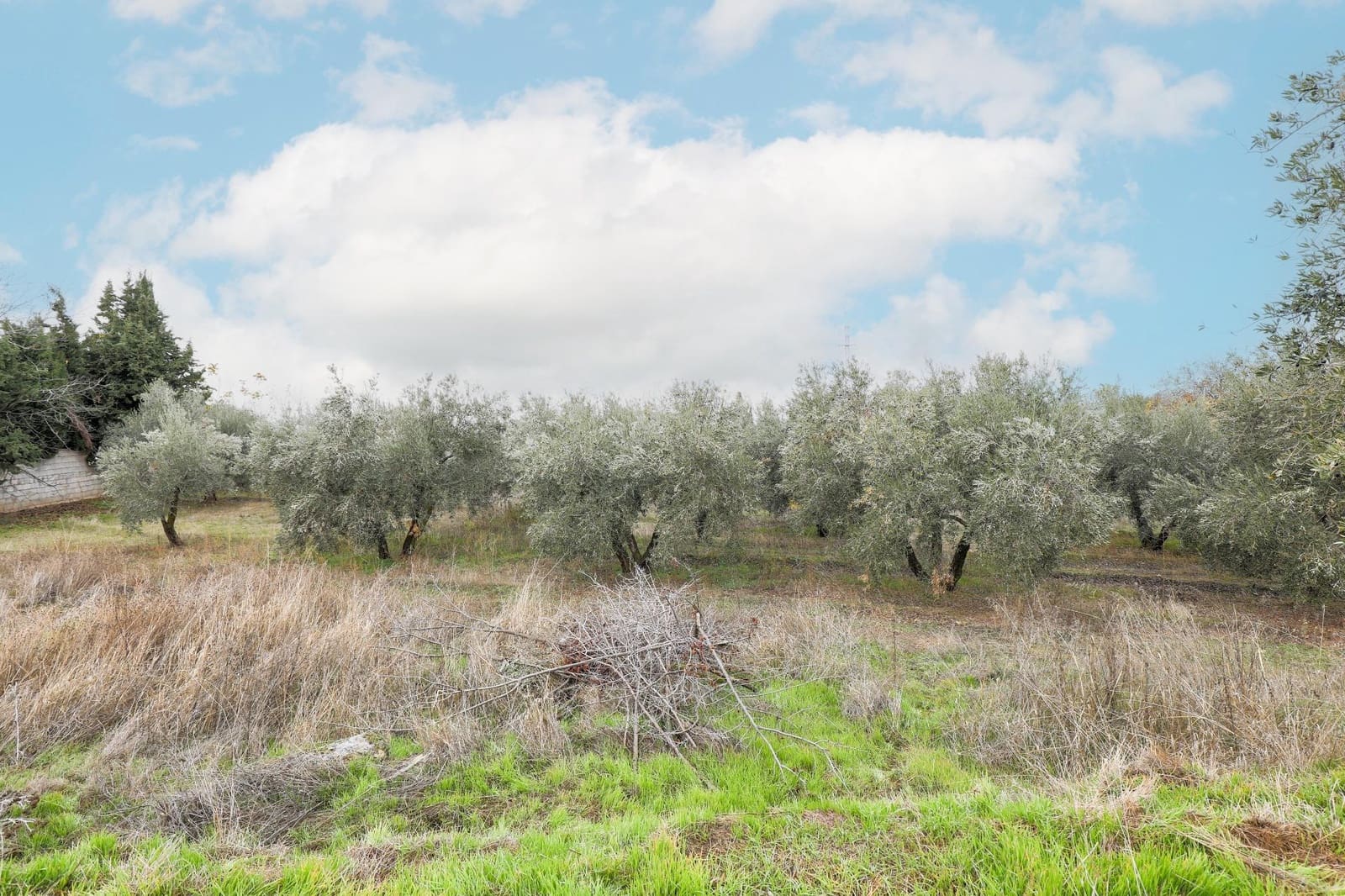 Finca/Country House for sale in Gojar with garage - € 208,000 (Ref: 9491559)