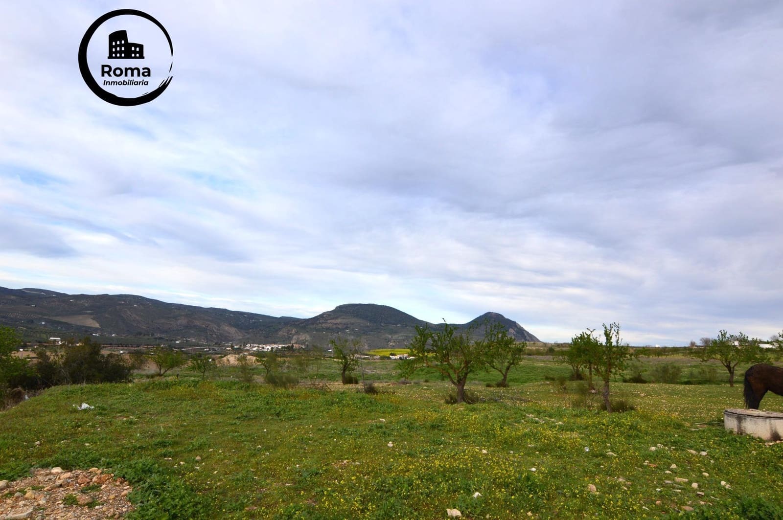 Negocio en Loja en venta - 95.000 € (Ref: 9491570)