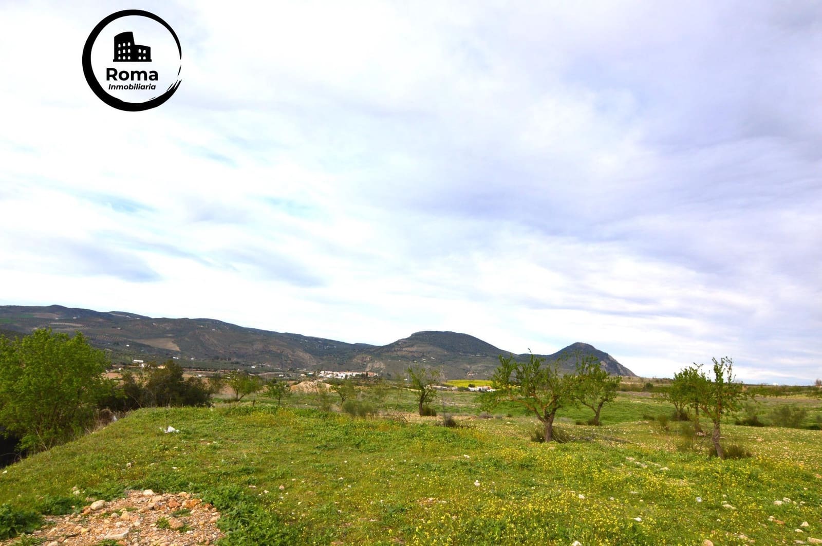 Negocio en Loja en venta - 95.000 € (Ref: 9491570)