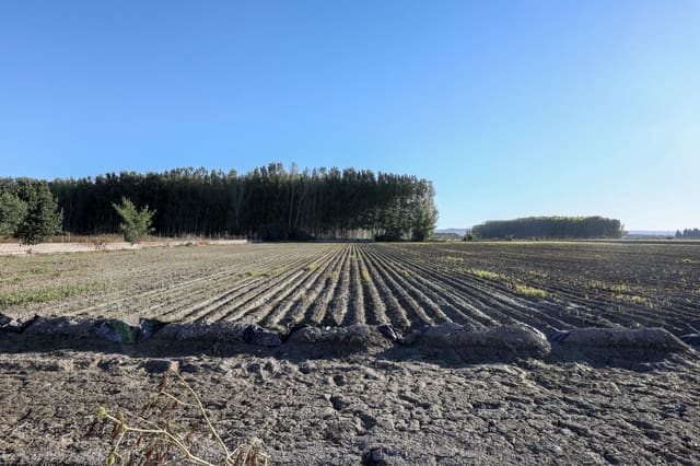 4 bedroom Finca/Country House for sale in Fuente Vaqueros - € 349,000 (Ref: 9491580)