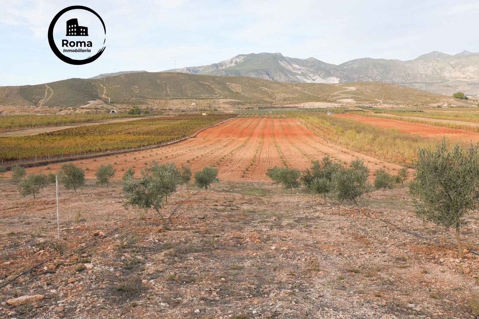 Terreno/Finca Rústica en Cozvijar en venta - 700.000 € (Ref: 9502531)