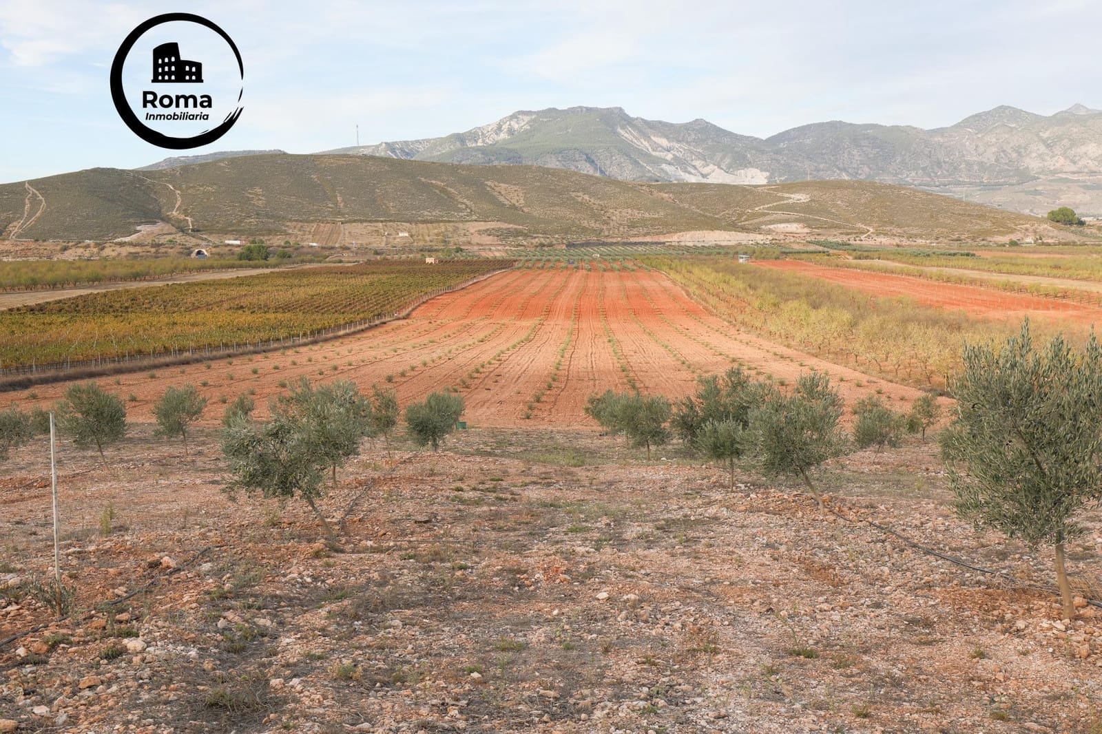 Terreno/Finca Rústica en Cozvijar en venta - 700.000 € (Ref: 9502531)