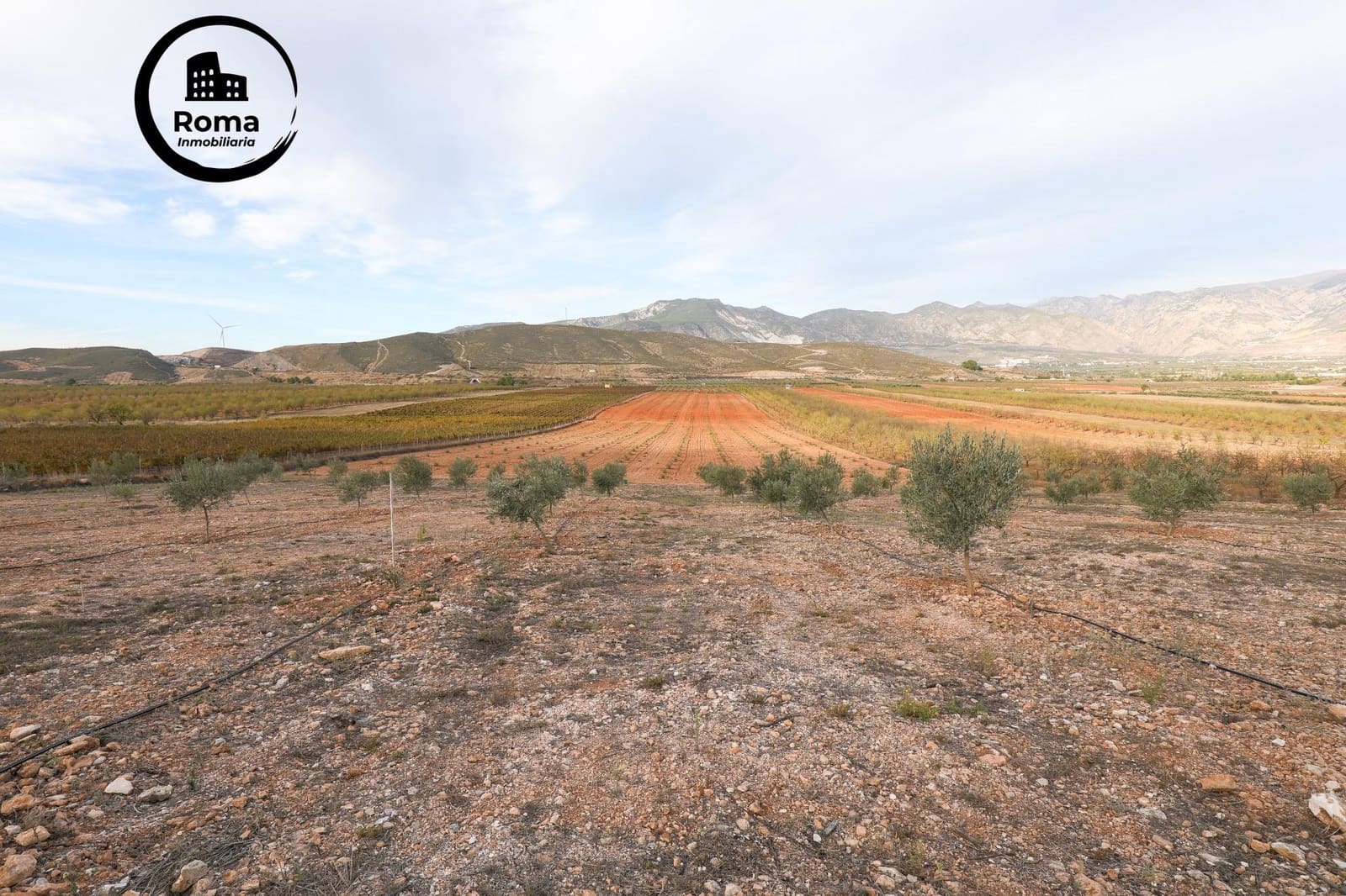 Terreno/Finca Rústica en Cozvijar en venta - 700.000 € (Ref: 9502531)