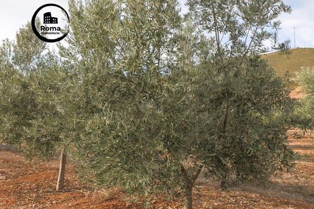 Terreno/Finca Rústica en Cozvijar, Villamena en venta - 700.000 € (Ref: 9502531)