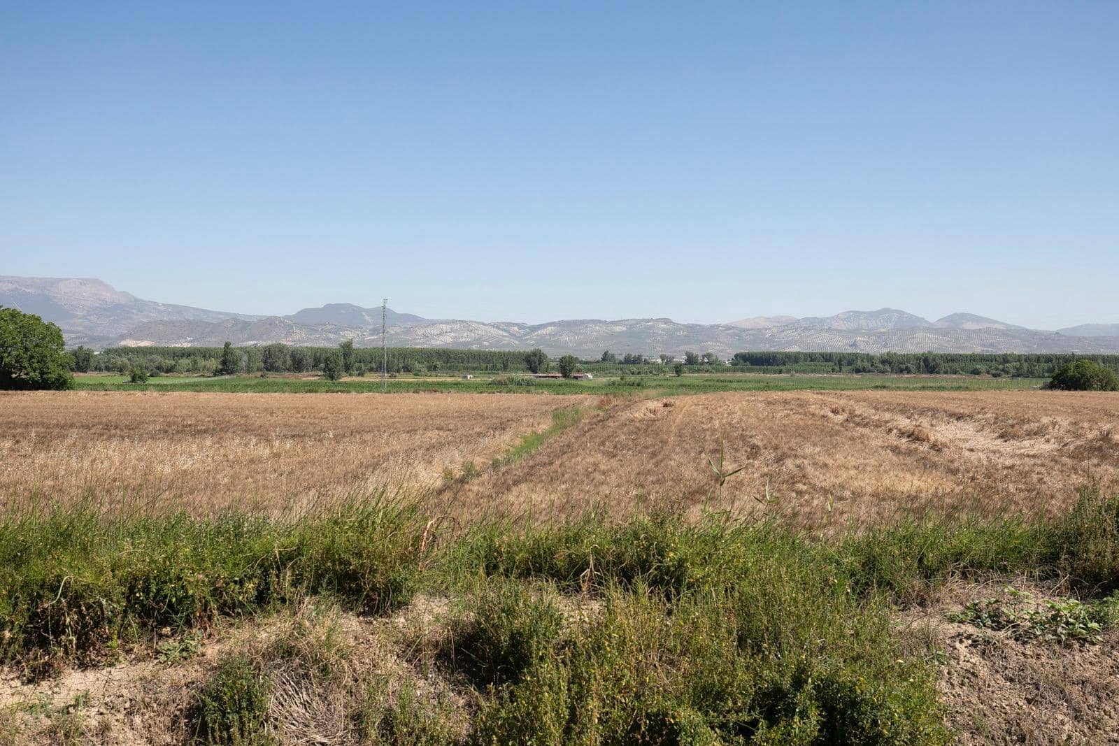 Bedrift til salgs i Cijuela - € 236 000 (Ref: 9502533)