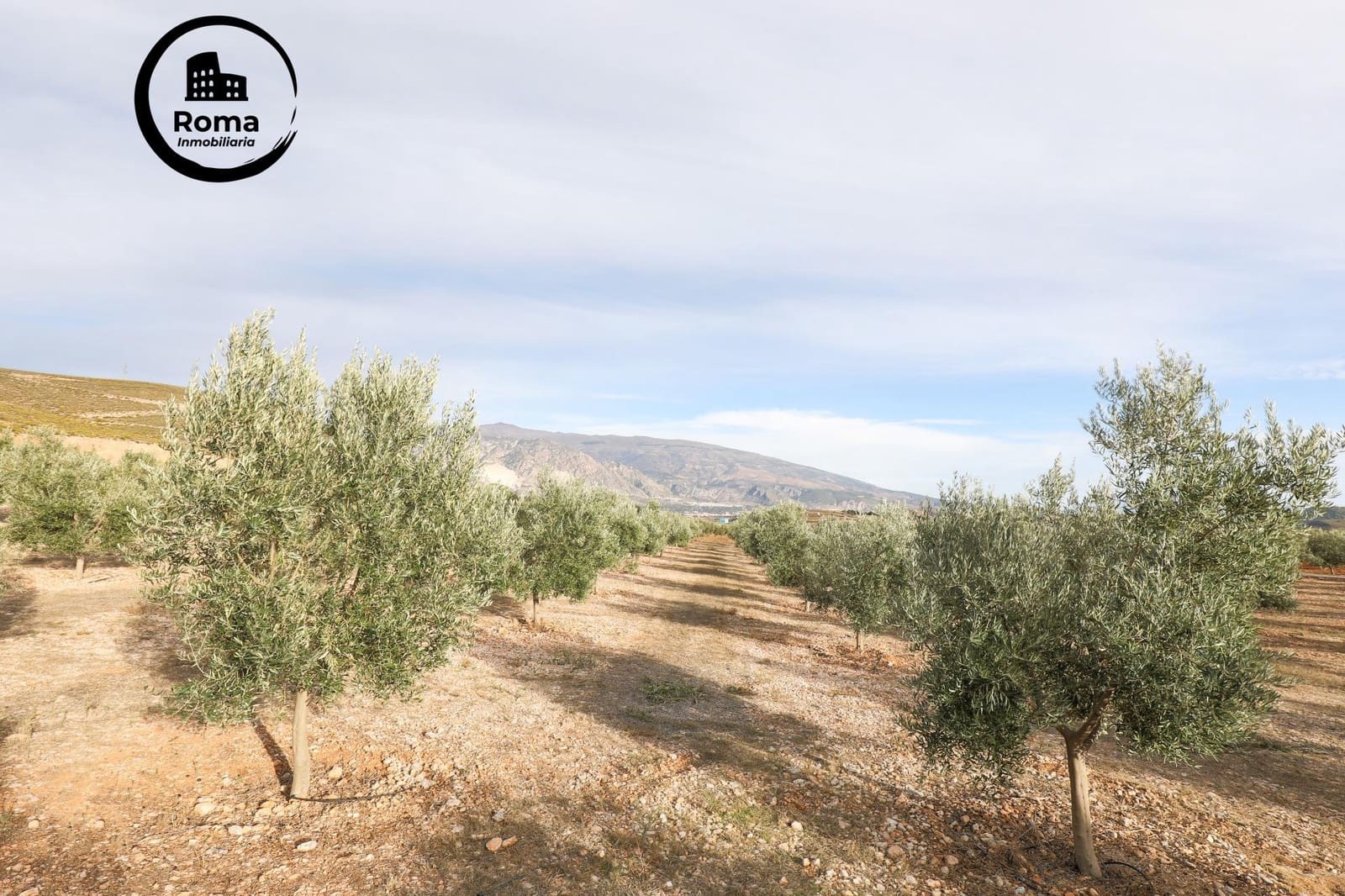 Terreno/Finca Rústica en Cozvijar en venta - 700.000 € (Ref: 9502536)