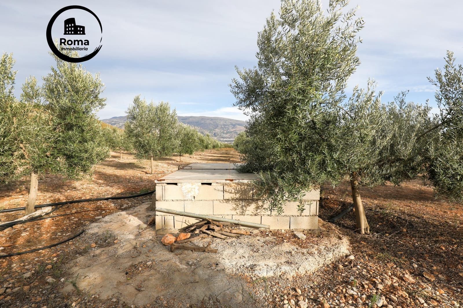 Terreno/Finca Rústica en Cozvijar en venta - 700.000 € (Ref: 9502536)