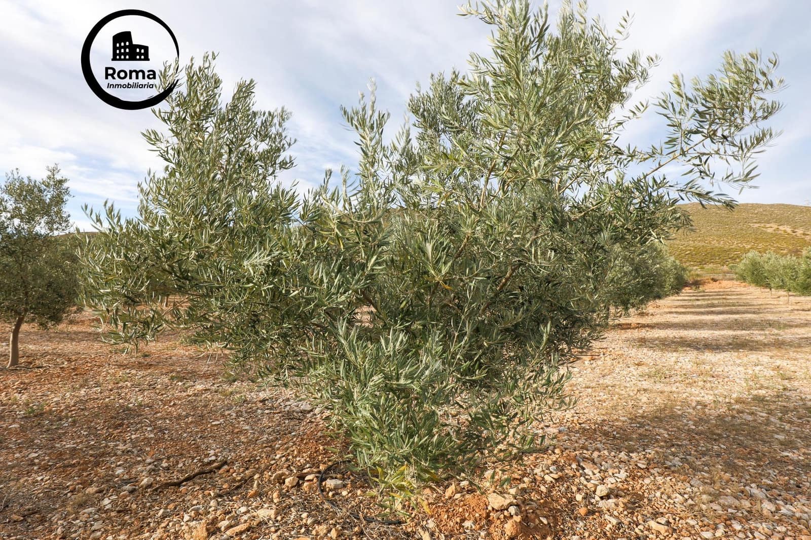 Terreno/Finca Rústica en Cozvijar en venta - 700.000 € (Ref: 9502536)