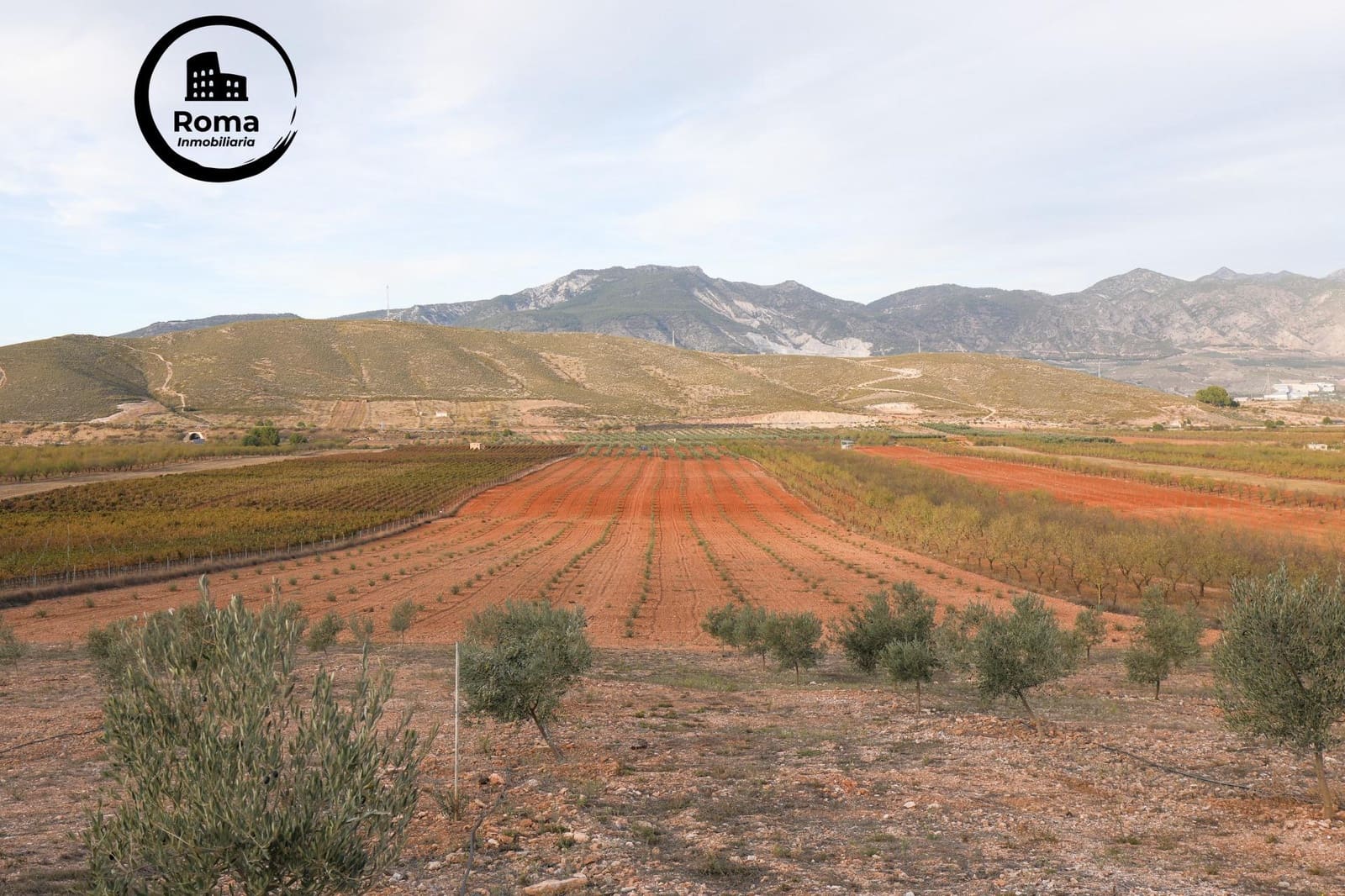 Terreno/Finca Rústica en Cozvijar en venta - 700.000 € (Ref: 9502536)