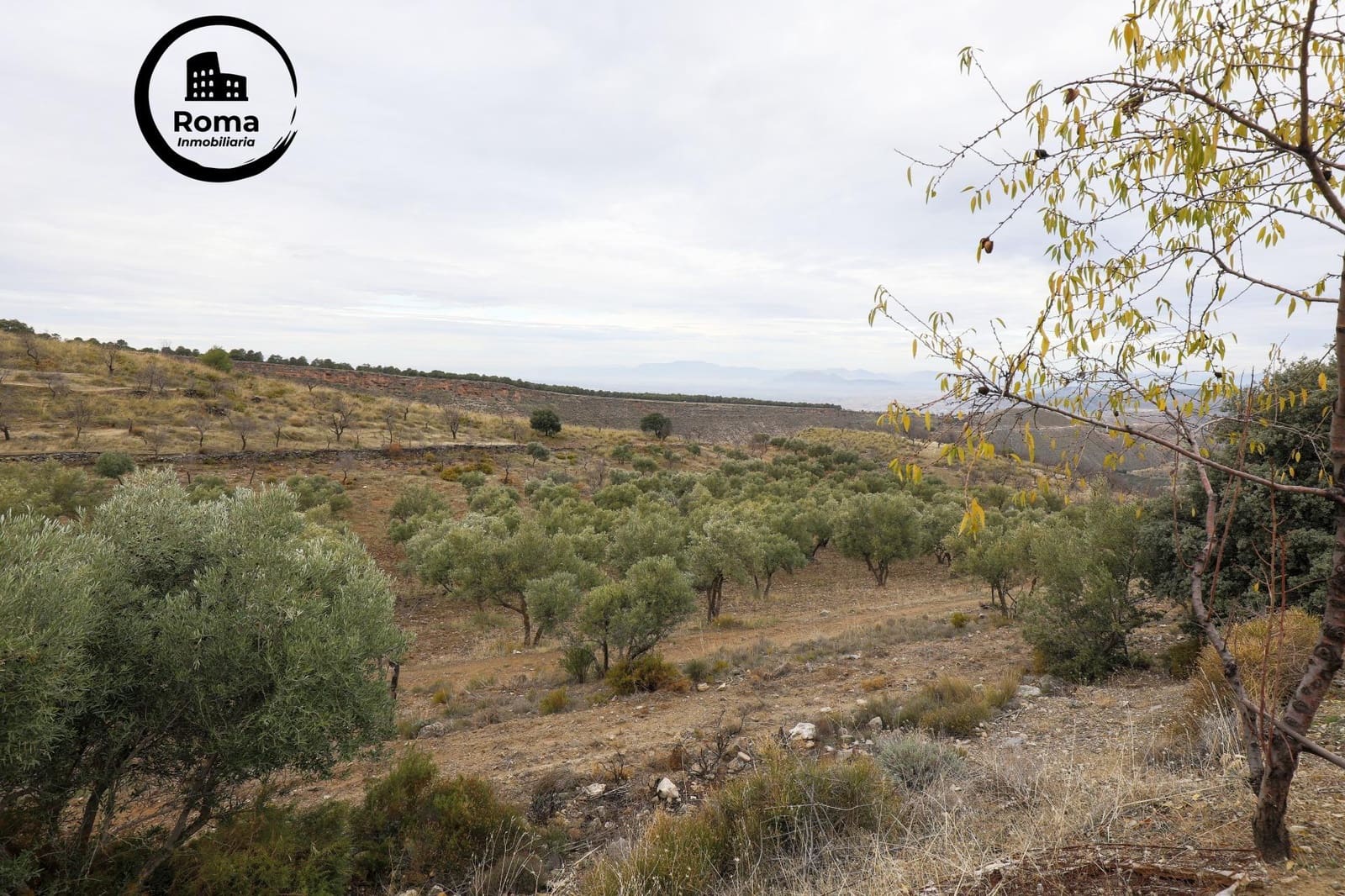 Grond te koop in Monachil - € 112.500 (Ref: 9502538)