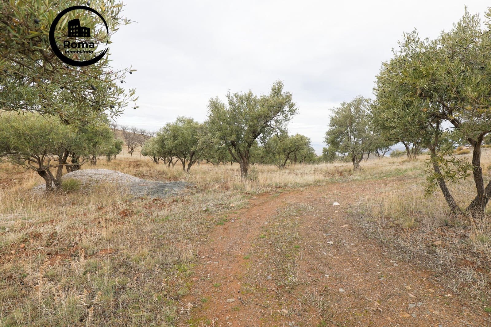 Grond te koop in Monachil - € 112.500 (Ref: 9502538)