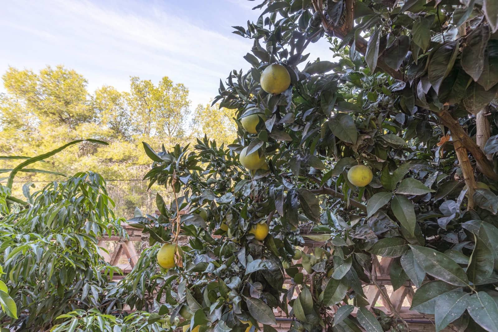 3 bedroom Villa for sale in Almunecar with pool - € 599,000 (Ref: 9504440)