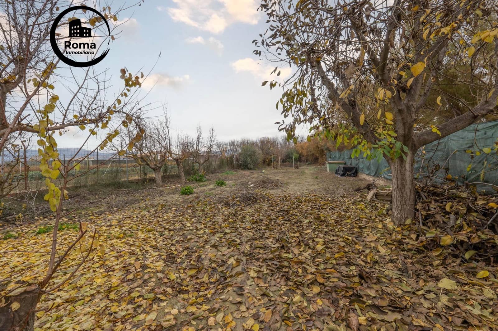 Undeveloped Land for sale in Chauchina - € 55,000 (Ref: 9509069)