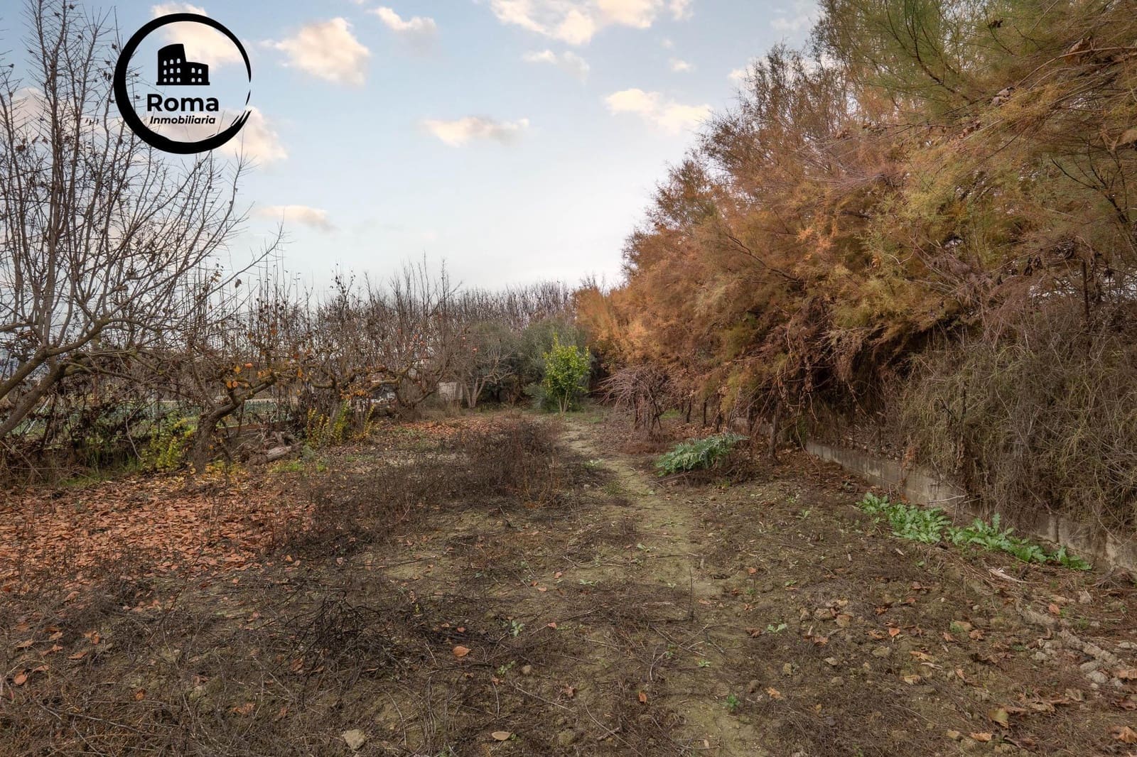 Undeveloped Land for sale in Chauchina - € 55,000 (Ref: 9509069)