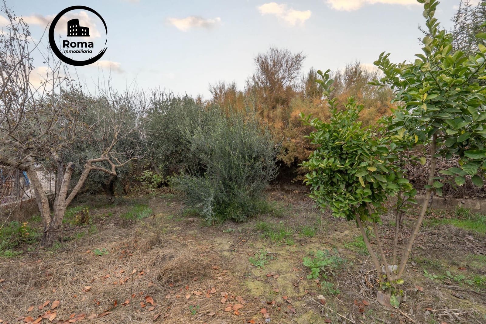 Undeveloped Land for sale in Chauchina - € 55,000 (Ref: 9509069)