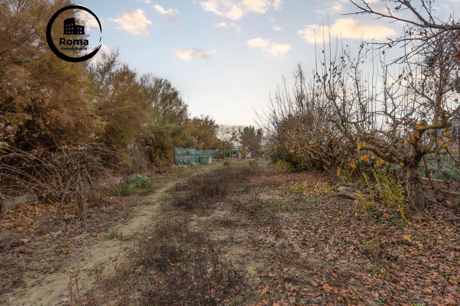 Undeveloped Land for sale in Chauchina - € 55,000 (Ref: 9509069)