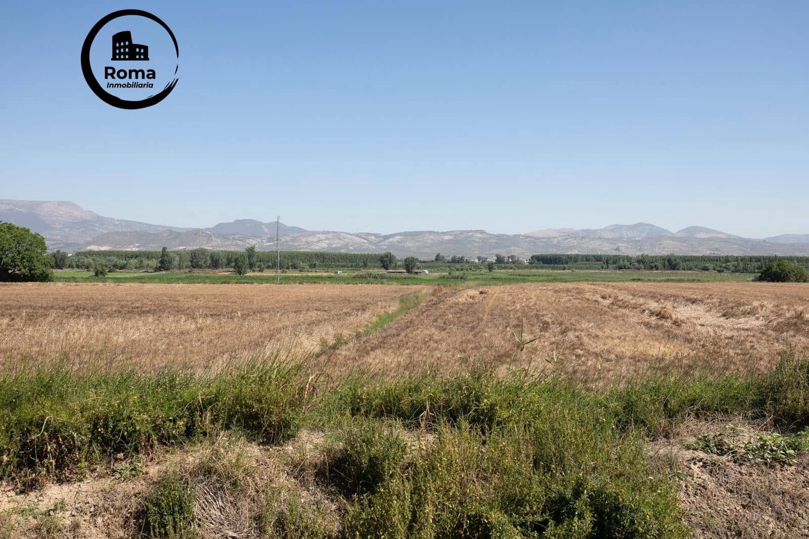 Business for sale in Cijuela - € 236,000 (Ref: 9509081)