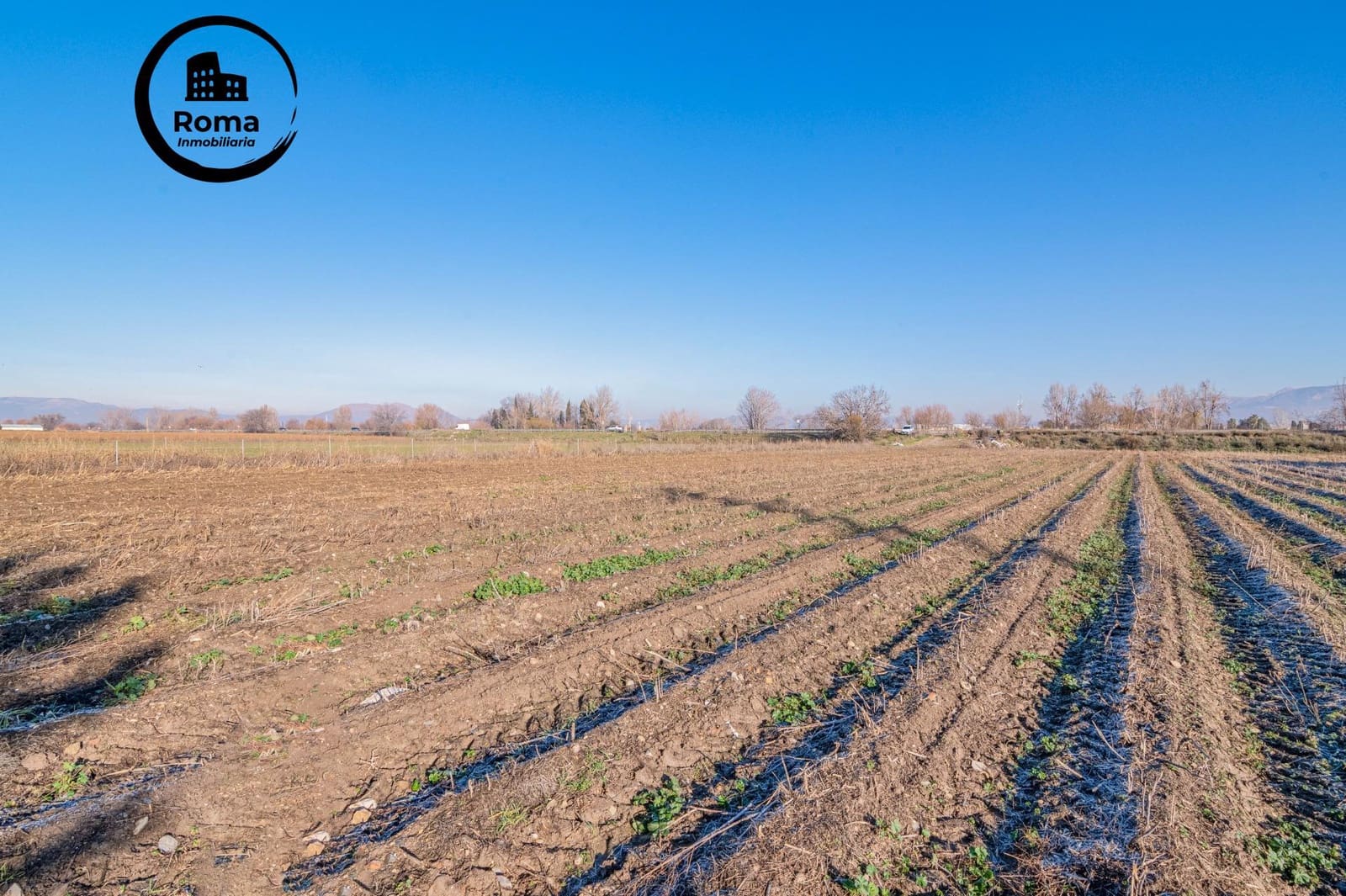 Grunde uden byggetilladelser til salg i Granada by - € 160.000 (Ref: 9536067)