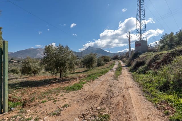 Grunde uden byggetilladelser til salg i Cogollos Vega - € 60.000 (Ref: 9568828)