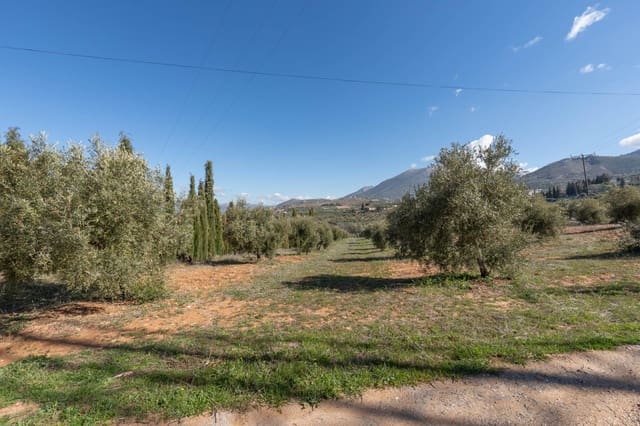 Grunde uden byggetilladelser til salg i Cogollos Vega - € 60.000 (Ref: 9568828)