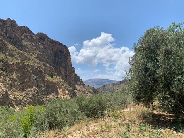 Grunde uden byggetilladelser til salg i Lanjarón - € 79.900 (Ref: 9568839)