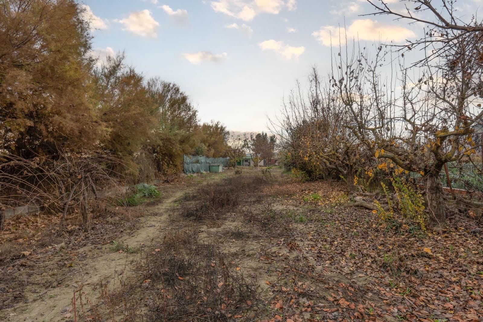 Landgrundstück zu verkaufen in Chauchina - 55.000 € (Ref: 9574760)